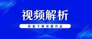 抖音短视频批量提取下载-抖音主页批量解析提取工具免费版