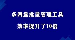 多网盘批量管理神器-百度网盘批量转存处理工具-羽哥资源星球