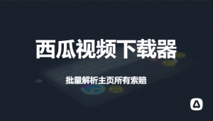 西瓜视频批量下载器-羽哥资源星球