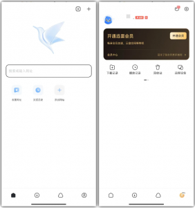 迅雷SVIP解锁会员(手机端)-羽哥资源星球