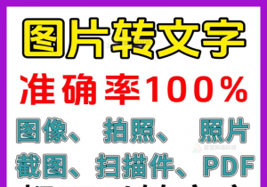 一键图片转文字拍照扫描件转Word文档Excel表格提取助手-羽哥资源星球