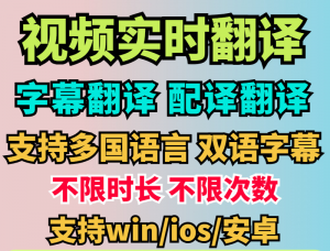 视频实时翻译软件 支持多国语言 双语字幕-羽哥资源星球