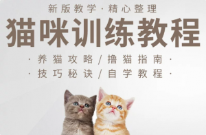 猫咪训练+养猫攻略视频教程大全-羽哥资源星球