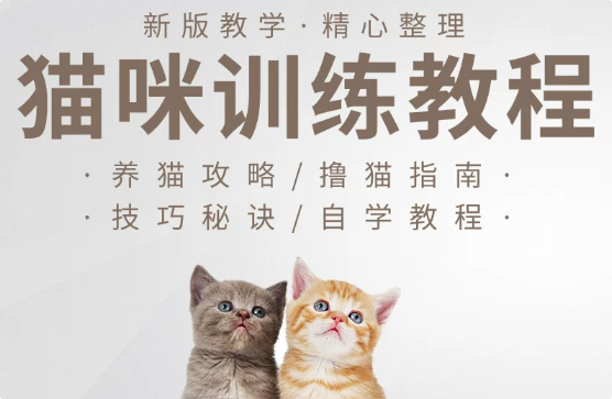 图片[1]-猫咪训练+养猫攻略视频教程大全-羽哥资源星球