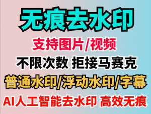 视频去水印软件，无痕消除文字，AI去除图片字幕水印神器-羽哥资源星球
