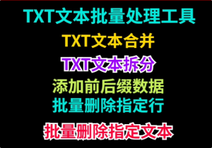 txt文本文件批量处理工具-羽哥资源星球