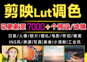 超级调色大礼包！7000+剪映lut调色预设/滤镜合集，一键调色，轻松省时，支持LR/PR/AE/达芬奇等软件-羽哥资源星球