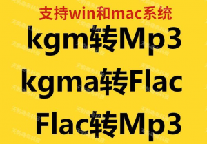 音乐格式转换工具：多种音频格式转MP3-羽哥资源星球