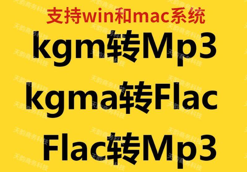 音乐格式转换工具：多种音频格式转MP3-羽哥资源星球